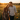 A picture of a happy couple feeling connected.