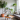 Indoor plants in flats