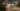 Indus River Projects