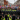 London Anti-Immigration Protest
