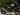 India-Made Triumph, KTM Motorcycles