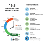 16:8 intermittent fasting schedule and benefits timeline.