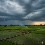 "IMD monsoon withdrawal forecast India 2025