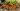 spices