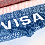 visa slowdown