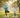 Active-Indian-elderly-couple-doing-yoga-outdoors-and-smiling