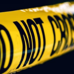 Indian illegal immigrant US crash,