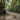 Sacred Monkey Forest