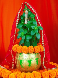 Tulsi vivah