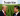 China stops buying US soybeans in trade war