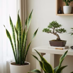 decor with houseplants