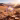 flower bloom in the Atacama Desert