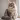 majestic Maine Coon cat