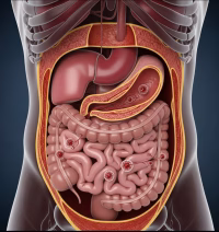 Abdominal TB