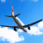 From IndiGo to American Airlines: Airbus Software Fix Hits Half the Global Fleet