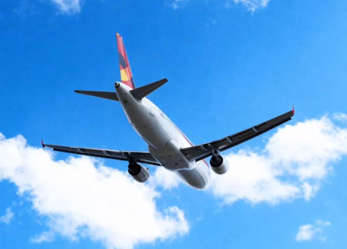 From IndiGo to American Airlines: Airbus Software Fix Hits Half the Global Fleet