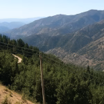 Security Forces Find AK-47 and Ammo in Baramulla Forest Operation