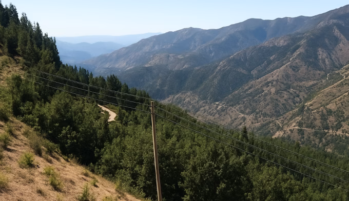 Security Forces Find AK-47 and Ammo in Baramulla Forest Operation