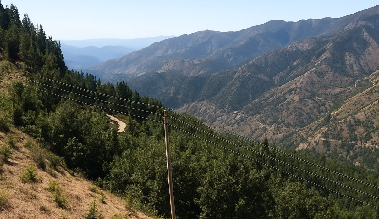 Security Forces Find AK-47 and Ammo in Baramulla Forest Operation