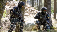 Two Terrorists Shot Dead in Kupwara During Operation Pimple, Army Foils Infiltration