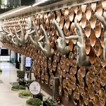 Flight Delays at Delhi Airport Amid Technical Problems, Airlines Issue Advisories