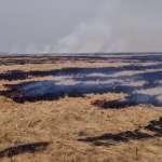 Haryana’s Efforts Lead to 77% Reduction in Stubble Burning; Zero Burn Target by 2027