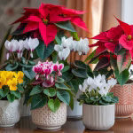 colorful winter plants