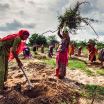 New Rural Jobs Bill: 125 Days Guarantee, Centre Sets Wages—Congress Attacks Gandhi Erasure