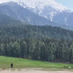 Operation Mahadev Aftermath: NIA Chargesheet in Pahalgam Case