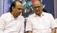 Ajit Pawar Sharad Pawar, NCP merger talks