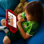 Andhra Pradesh social media ban kids