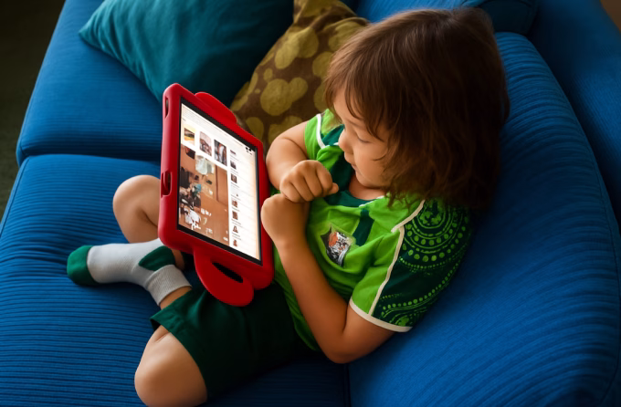 Andhra Pradesh social media ban kids