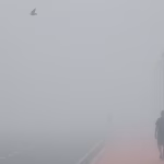 Noida schools closed class 8 cold wave