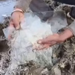 Mount Abu cold wave, Rajasthan minus 7 degrees