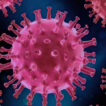 Nipah virus West Bengal