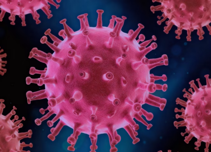 Nipah virus India, Nipah symptoms