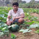 Modi Praises Hirod Patel’s Net-Structure Farming Experiment ​