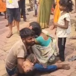 5 year old innocent dies due to bite of stray dogs.