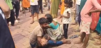 5 year old innocent dies due to bite of stray dogs.