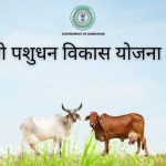 Chief Minister's Livestock Development Scheme (2026-27): Applications open for commercial goat farming in Dhanbad; 70% subsidy available.