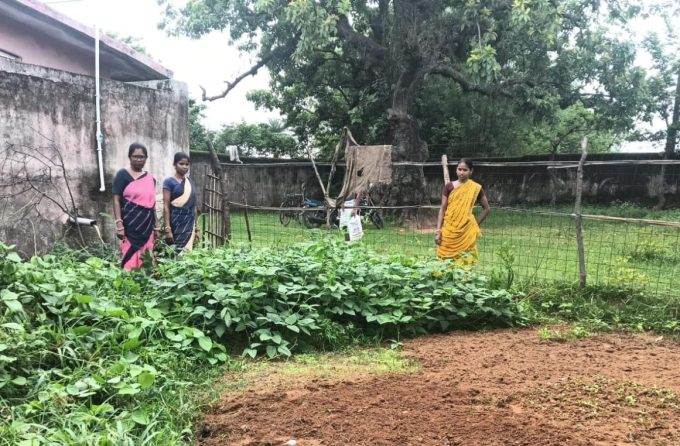 Competition launched for developing nutrition gardens at Anganwadi centers; winners to receive prizes of up to ₹10,000.